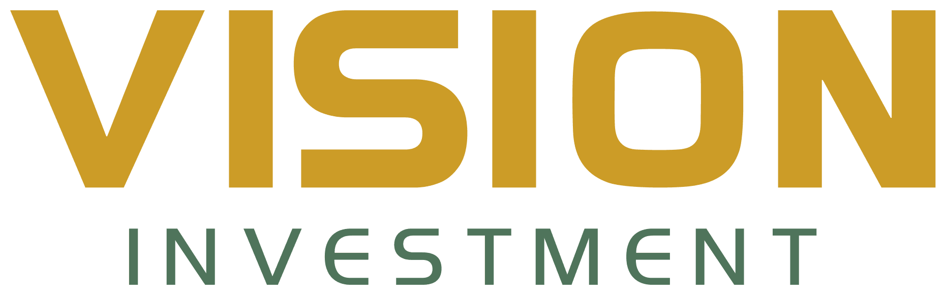 Vision Investment